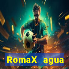 RomaX agua sanitaria fispq agua sanitaria romax